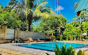 Ivory Safari House